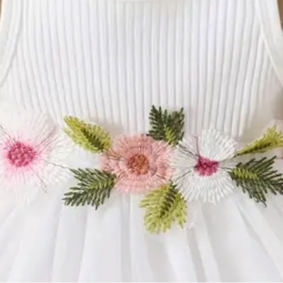 Infant Baby Girl’s Pink Embroidered Sleeveless White Dress (3-6m) NWT - Picture 3 of 7